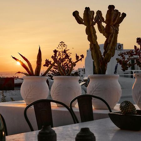 Elaia Luxury Suites Mykonos Mykonos Town 외부 사진