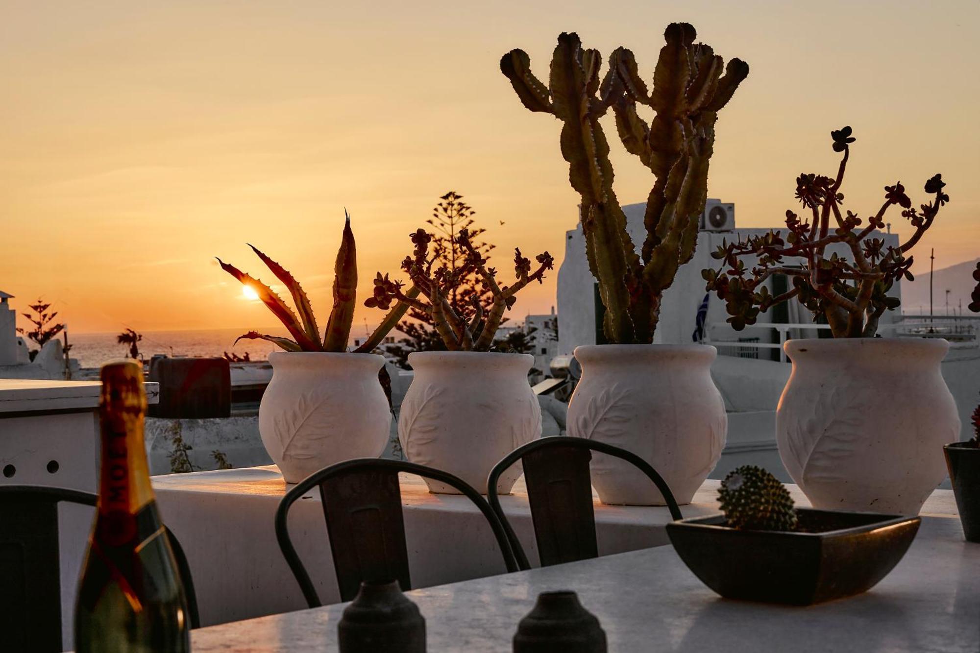 Elaia Luxury Suites Mykonos Mykonos Town 외부 사진